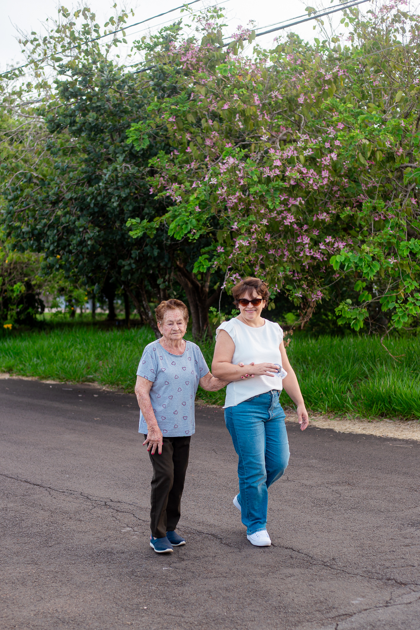 Descrição da Imagem 137